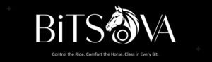 Bitsova White Logo